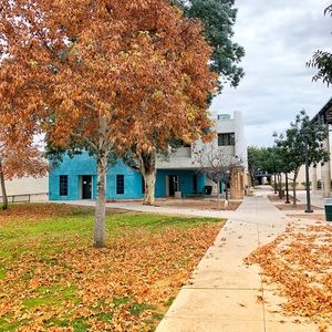 Meet your Posher, Noura